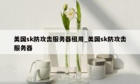 美国sk防攻击服务器租用_美国sk防攻击服务器