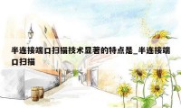 半连接端口扫描技术显著的特点是_半连接端口扫描