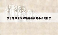 关于中国未来会培养黑客吗小说的信息