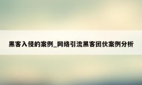 黑客入侵的案例_网络引流黑客团伙案例分析