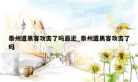 泰州遭黑客攻击了吗最近_泰州遭黑客攻击了吗