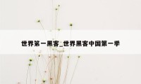 世界笫一黑客_世界黑客中国第一季