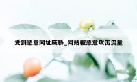 受到恶意网址威胁_网站被恶意攻击流量