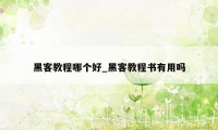 黑客教程哪个好_黑客教程书有用吗