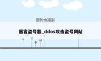 黑客盗号器_ddos攻击盗号网站