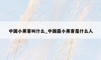 中国小黑客叫什么_中国最小黑客是什么人