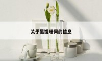 关于黑镜暗网的信息