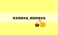 常见网络攻击_微型网络攻击