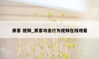黑客 视频_黑客攻击行为视频在线观看