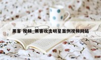 黑客 视频_黑客攻击明星案例视频网站