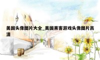 美国头像图片大全_美国黑客游戏头像图片高清