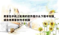 黑客在手机上能用的软件是什么下载中文版_谁会用黑客软件手机版