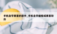 手机自学黑客的软件_手机自学编程成黑客软件