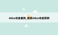 ddos攻击案例_抓获ddos攻击获利