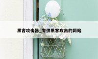黑客攻击器_专供黑客攻击的网站