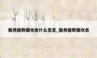 服务器数据攻击什么意思_服务器数据攻击
