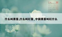 什么叫黑客,什么叫红客_中国黑客叫红什么