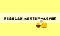 黑客是什么东西_美国黑客都干什么呢啊图片