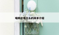 暗网还有什么的简单介绍