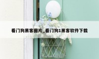 看门狗黑客图片_看门狗1黑客软件下载