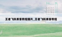 王者飞跃黑客教程图片_王者飞跃黑客教程