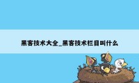 黑客技术大全_黑客技术栏目叫什么