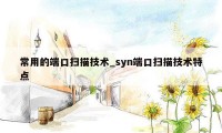 常用的端口扫描技术_syn端口扫描技术特点