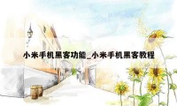 小米手机黑客功能_小米手机黑客教程