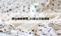 端口爆破原理_81端口扫描爆破