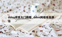 ddos攻击入门教程_ddos网络攻击演示