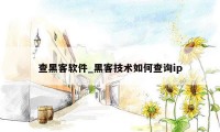 查黑客软件_黑客技术如何查询ip