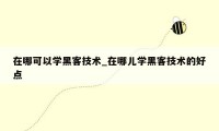 在哪可以学黑客技术_在哪儿学黑客技术的好点