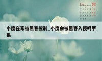 小度在家被黑客控制_小度会被黑客入侵吗苹果