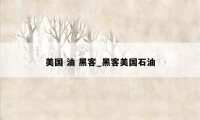 美国 油 黑客_黑客美国石油
