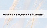 中国黑客什么水平_中国黑客最高境界是什么