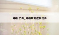 网络 仿真_网络攻防虚拟仿真