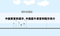 中国黑客郭盛华_中国最牛黑客郭胜华简介
