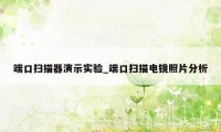 端口扫描器演示实验_端口扫描电镜照片分析