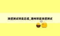 渗透测试项目总结_潮州项目渗透测试
