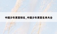 中国少年黑客排名_中国少年黑客名单大全