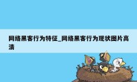 网络黑客行为特征_网络黑客行为现状图片高清