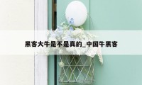 黑客大牛是不是真的_中国牛黑客