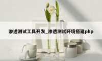 渗透测试工具开发_渗透测试环境搭建php