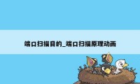 端口扫描目的_端口扫描原理动画