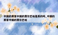 中国的黑客中国的费尔巴哈是真的吗_中国的黑客中国的费尔巴哈