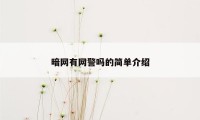 暗网有网警吗的简单介绍
