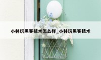 小林玩黑客技术怎么样_小林玩黑客技术