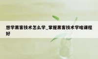 想学黑客技术怎么学_掌握黑客技术学啥课程好
