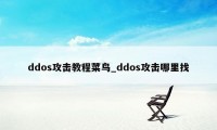 ddos攻击教程菜鸟_ddos攻击哪里找