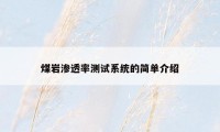 煤岩渗透率测试系统的简单介绍